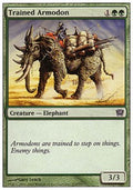 Trained Armodon