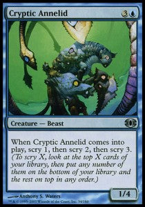 Cryptic Annelid