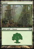 Forest (V.1)