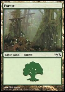Forest (V.1)