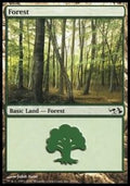 Forest (V.2)