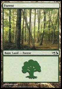 Forest (V.2)