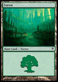 Forest (V.1)