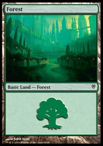Forest (V.1)