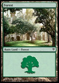 Forest (V.2)