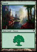 Forest (V.3)