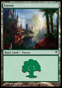Forest (V.3)