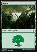 Forest (V.7)