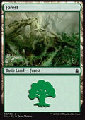 Forest (V.8)