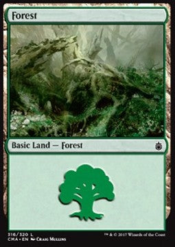 Forest (V.8)