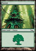 Forest (V.3)