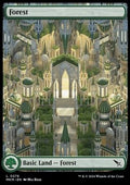 Forest (V.1)