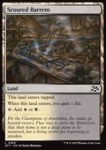 Scoured Barrens