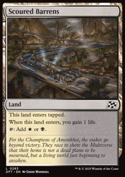 Scoured Barrens