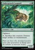 Undergrowth Leopard