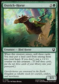 Ostrich-Horse