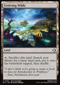 Evolving Wilds